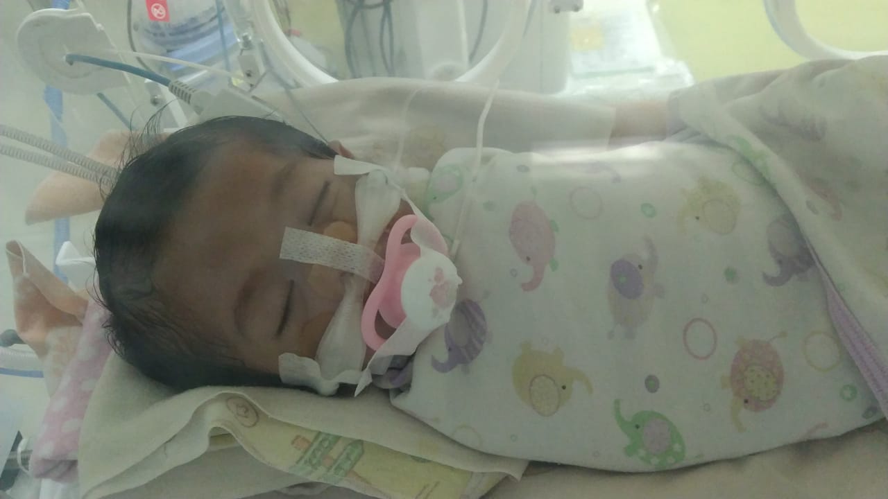 benihbaik_2022-02-18_cd9f0d58262804087371df513aabd7d4e8512ebd_jpeg