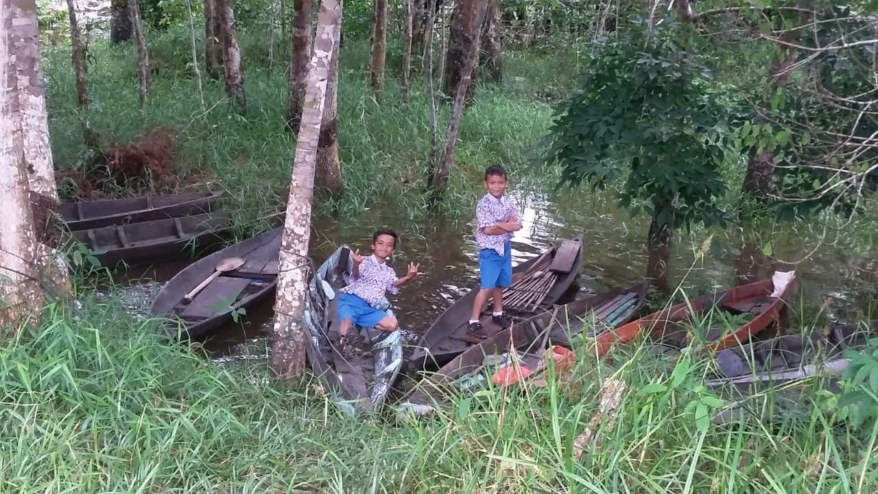 benihbaik_2022-02-18_d5e1a71d00f00e521a6960fb63dfc9b87d95f996_jpeg