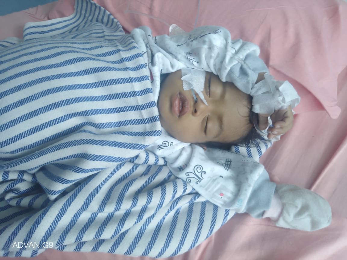 benihbaik_2022-02-18_e2e7339b9fa4b2e0f93b79e1848e3fb54430299a_jpeg