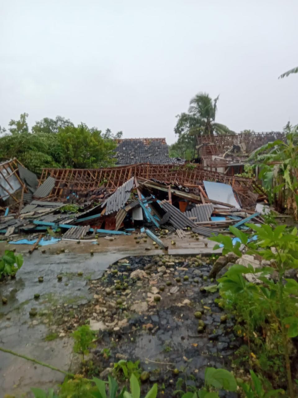 benihbaik_2022-02-22_8007ae886ae33caea08d865f8498a4929b87af9a_jpeg