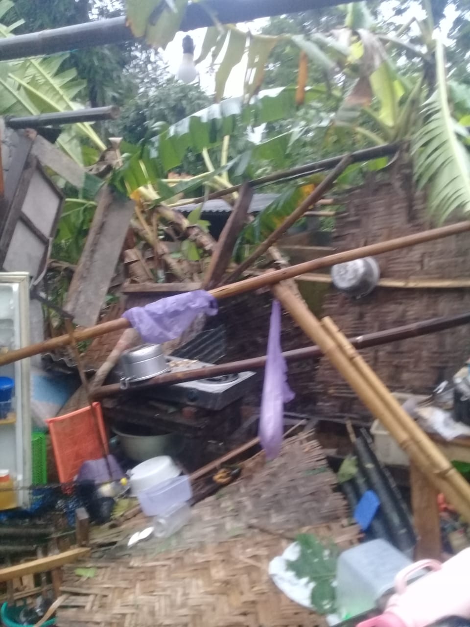 benihbaik_2022-02-22_88ac71fb3a438b13229a92df3f0931933b1a9647_jpeg