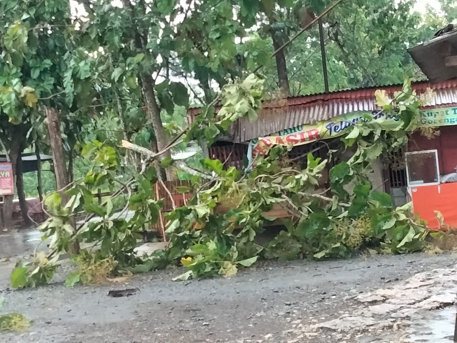 benihbaik_2022-02-22_c83181694c7c3ee5b394f77619287189761e3def_jpeg