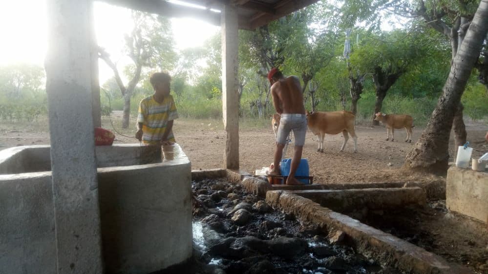 benihbaik_2022-02-25_04c77f385f39e79895ed57fd0211ac3e4418c4bd_jpeg