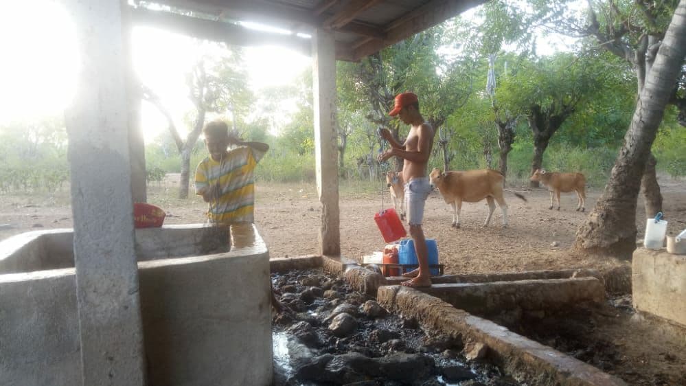 benihbaik_2022-02-25_1856f70cee9e3c25b1ee7982042566844314ff2d_jpeg