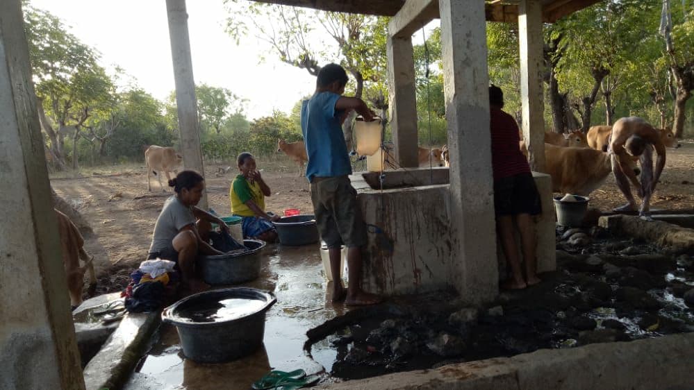 benihbaik_2022-02-25_d6fa90999ba3a2c57ebeed20e4b30fe7b0e92de8_jpeg