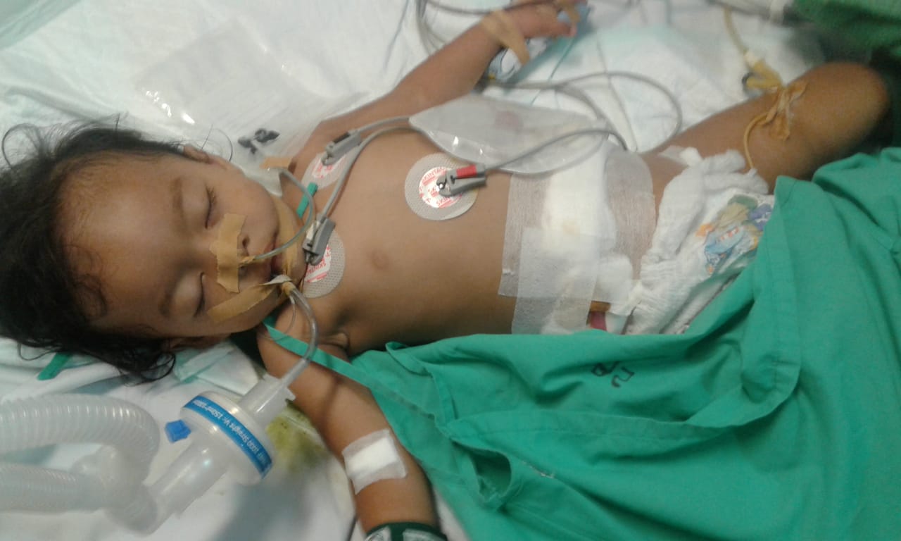 benihbaik_2022-03-01_836db81455fca03f4b22829f785831f23bb58e18_jpeg