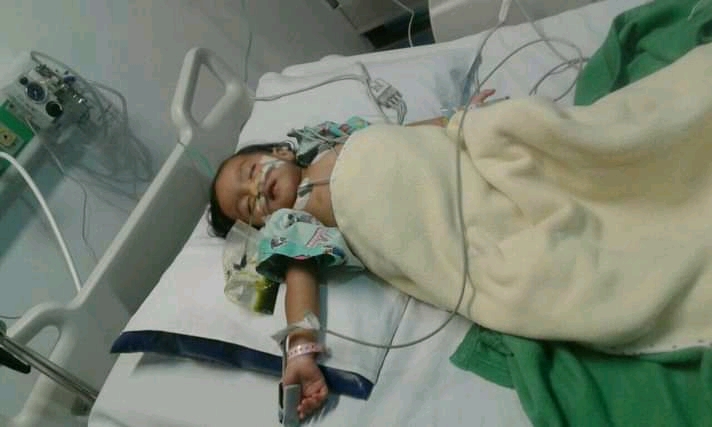 benihbaik_2022-03-01_c8329ff26687feea94c55dc717564442ecb85549_jpeg