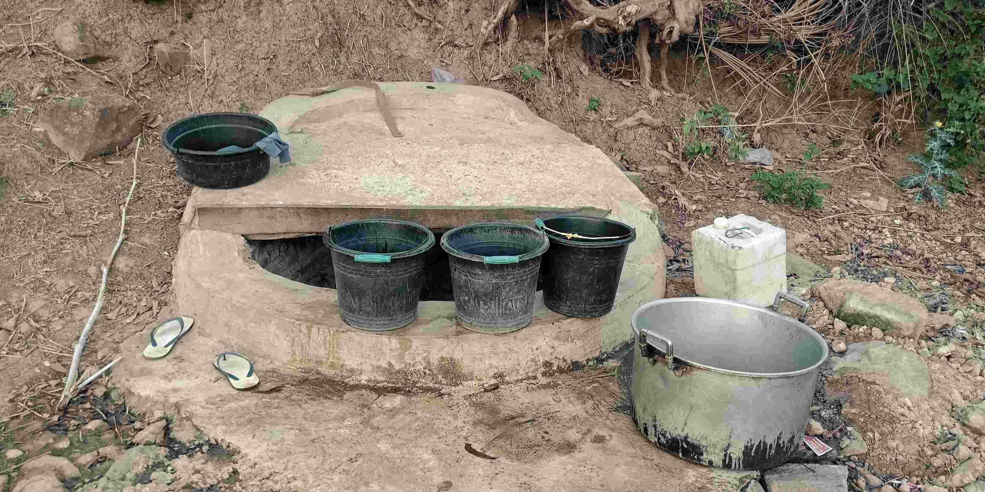 benihbaik_2022-03-01_dba6f8a21ee3db8f9a279c4e925c50c0c5495766_jpeg