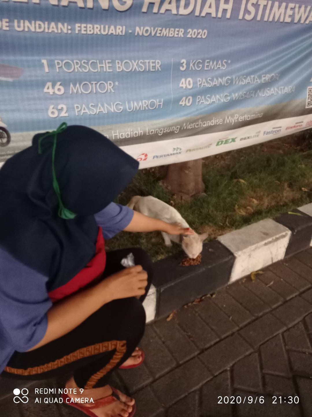 benihbaik_2022-03-04_ca8717a2bd532dd0b5162c62abbf64bf4b8f9356_jpeg