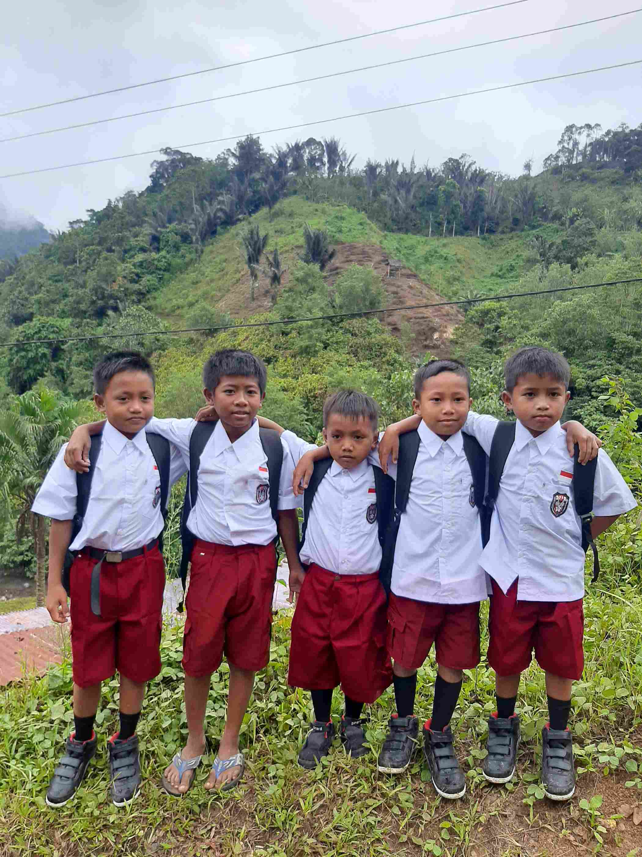 benihbaik_2022-03-08_d8c6ce25e15dd0173d7af0a388b78c52e43faddb_jpeg