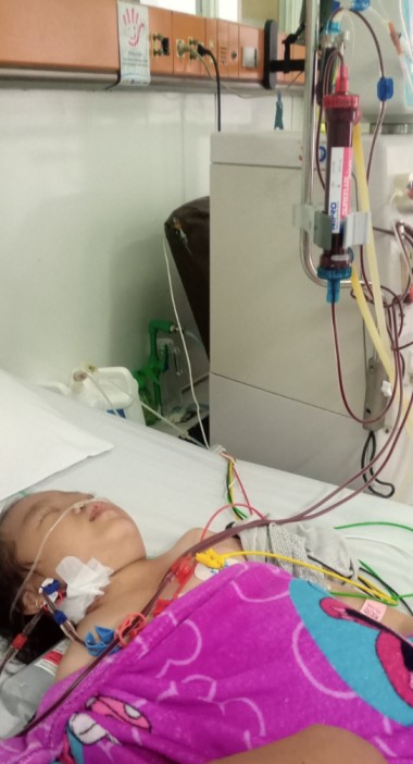 benihbaik_2022-03-09_379feae57b850b426c17639f2481f879eb1f98ec_jpeg