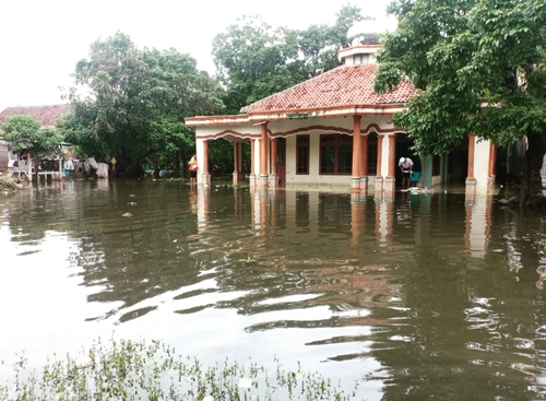 benihbaik_2022-03-11_46b1275dd42523ab31e8082e5b37cd315cb4683f_jpeg