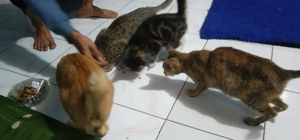 benihbaik_2022-03-14_32e924e2bfa97ccac4e218d6eb00229768e5b118_jpeg