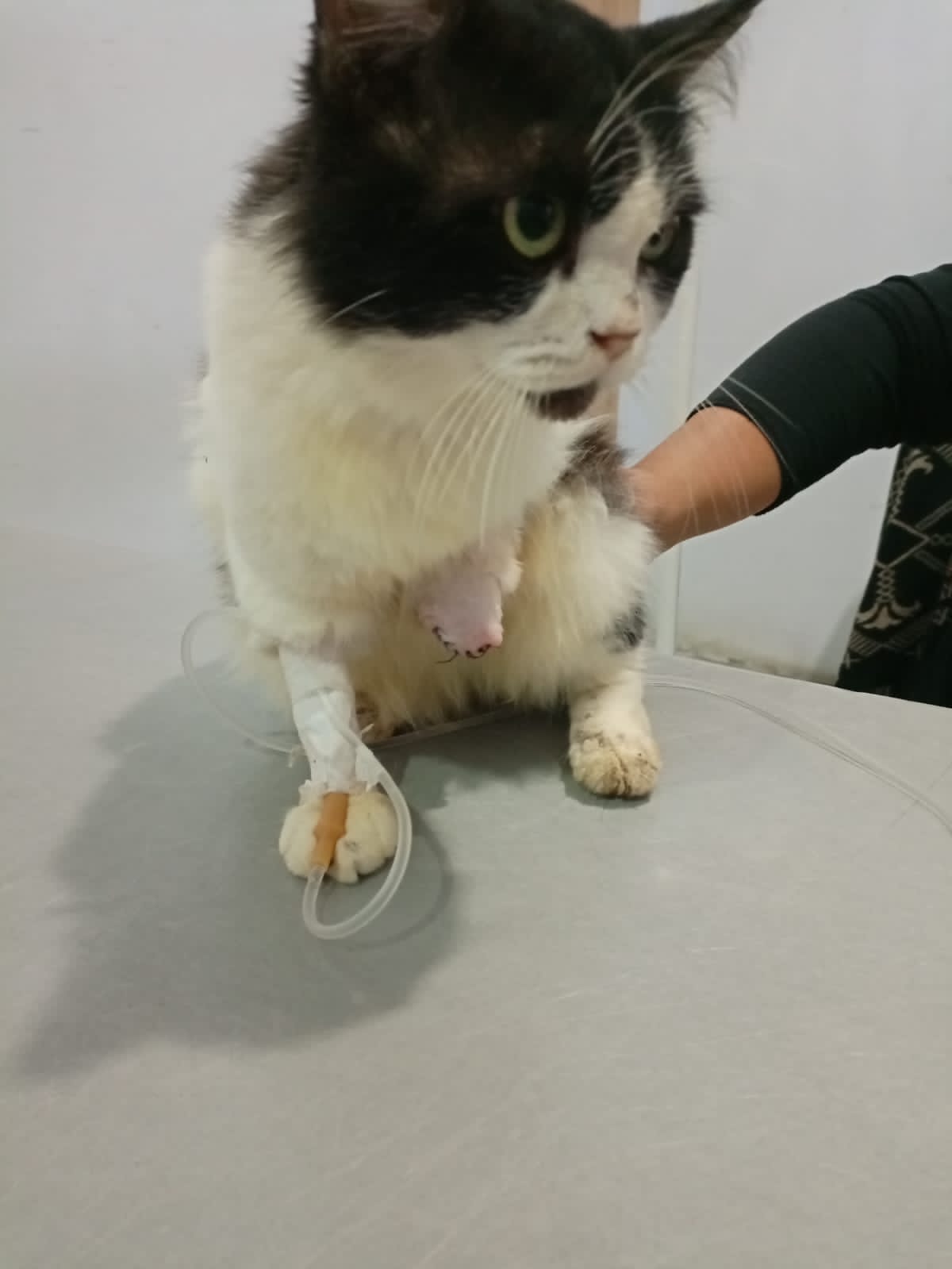 benihbaik_2022-03-14_a2330c4f1269fbe0c81793801042c637a5dc36e9_jpeg