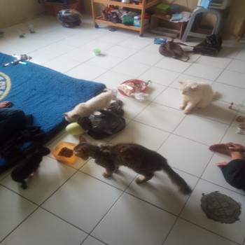 benihbaik_2022-03-14_f8de7ca7f4408c0641f65be6fe768c68dc1e9d34_jpeg