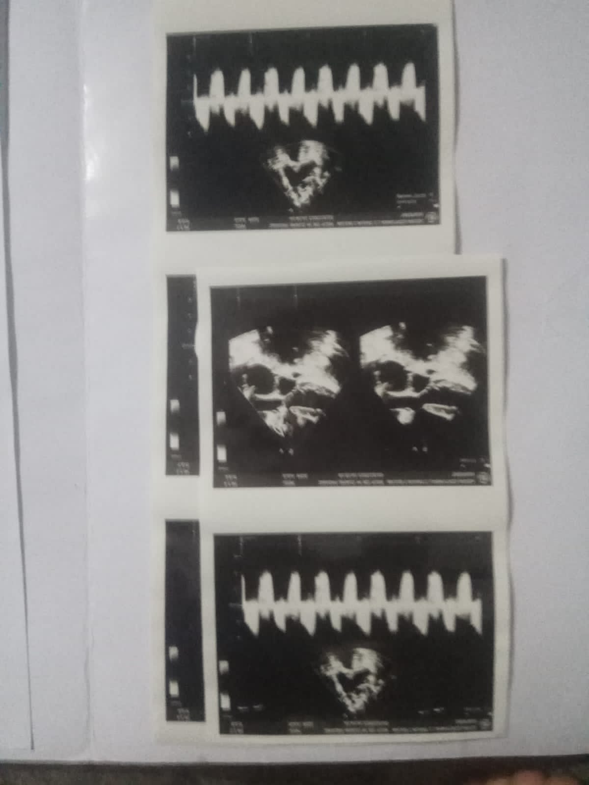 benihbaik_2022-03-17_cbee3607d119a3040d244c063758aa4b96bfa216_jpeg