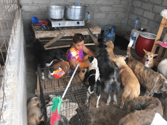 benihbaik_2022-03-22_1fbd5df896f18866fb0237231f9cb054b551b2da_png