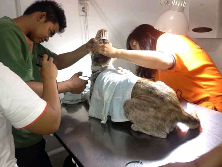 benihbaik_2022-03-22_2b9e658b9e750265423673e86f49d683d3777c8b_jpeg