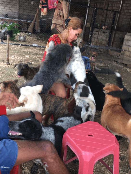 benihbaik_2022-03-22_38e16881c7f871443c496dcfc3885c7d2124ae95_png