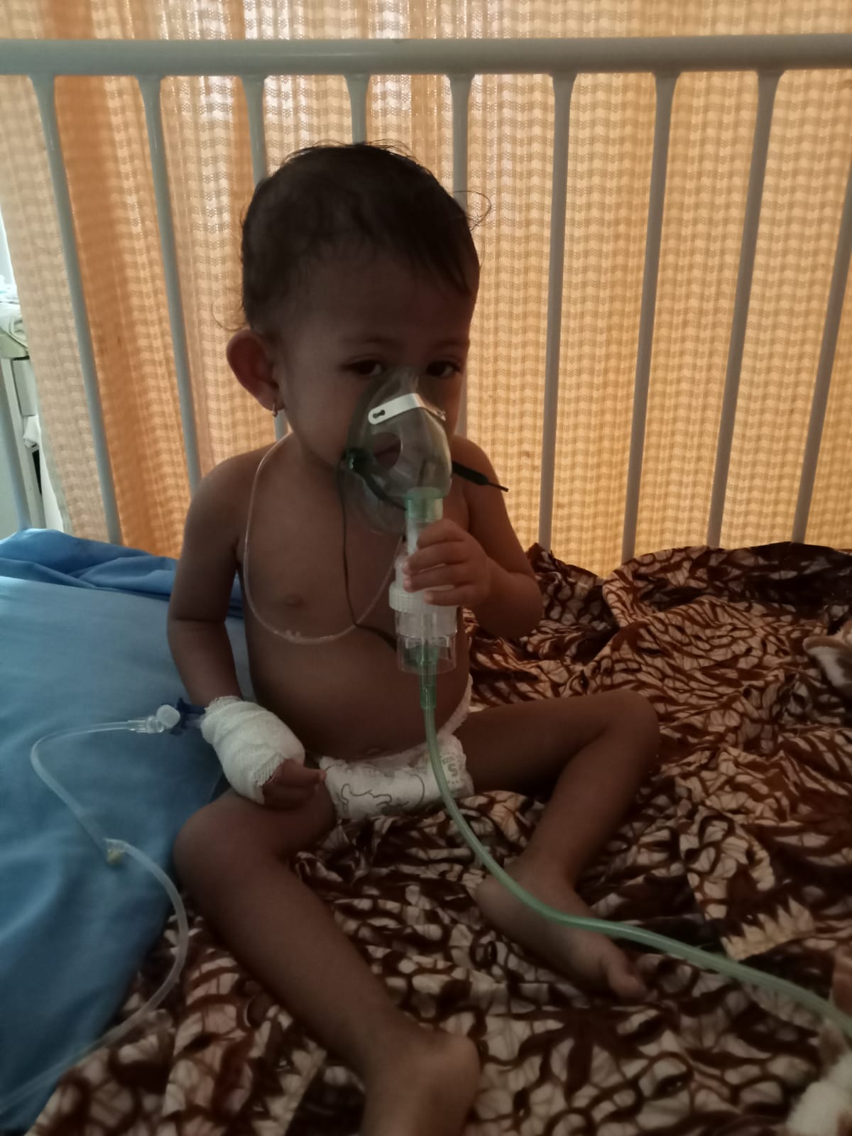 benihbaik_2022-03-28_b9f09295a907ab75c7a13cbab31627c06da7f569_jpeg