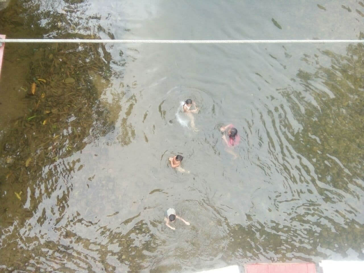 benihbaik_2022-04-06_7f8db0cfaa8e656d1e706a214bbbd747bd44db20_jpeg