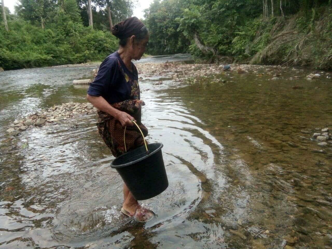 benihbaik_2022-04-06_88c030114c7267c4dc31319a0d2a8c6ec93fa108_jpeg