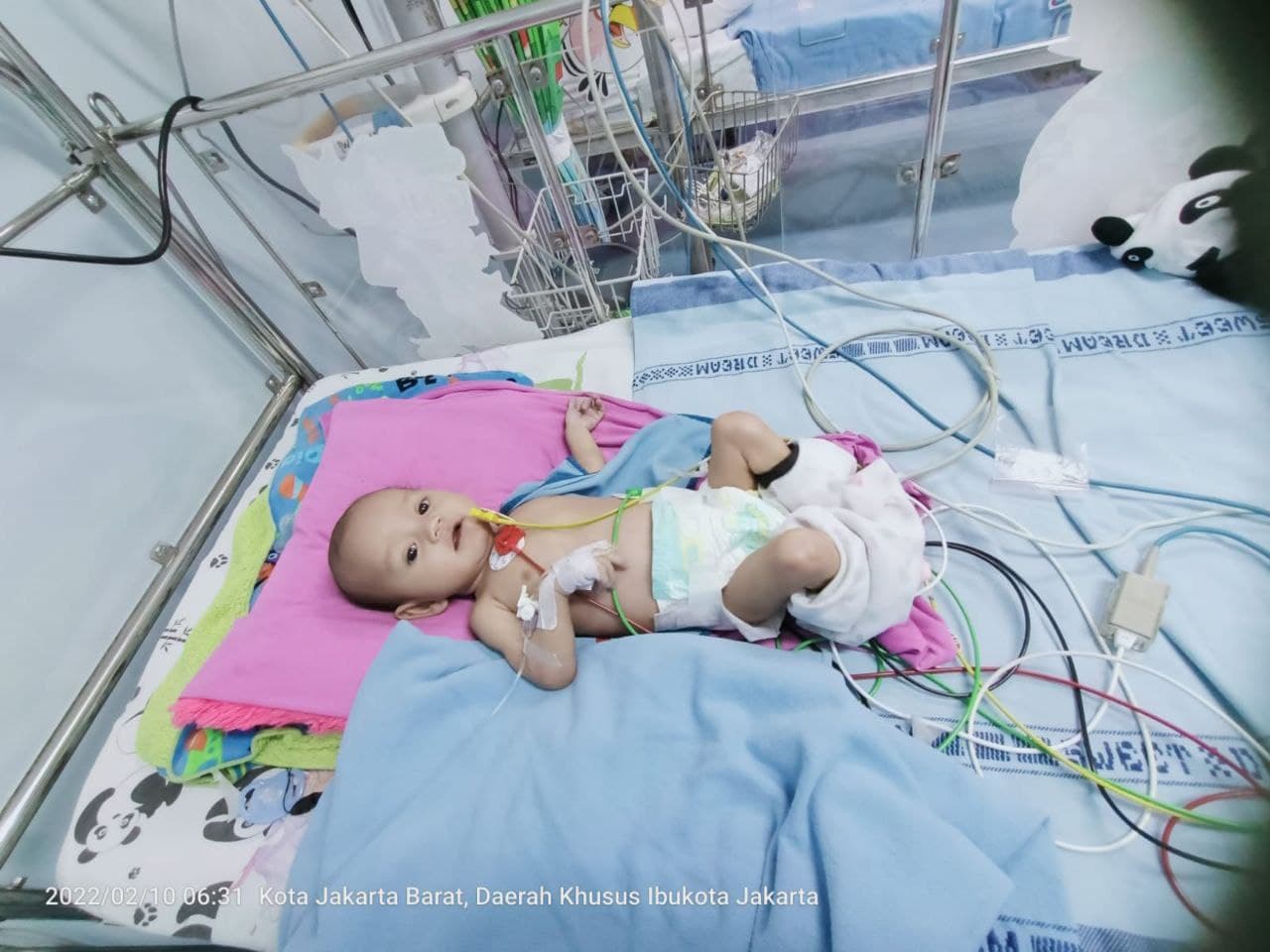 benihbaik_2022-04-25_78c5d002b2c85eb40a78863e3b70d94b07df5efc_jpeg