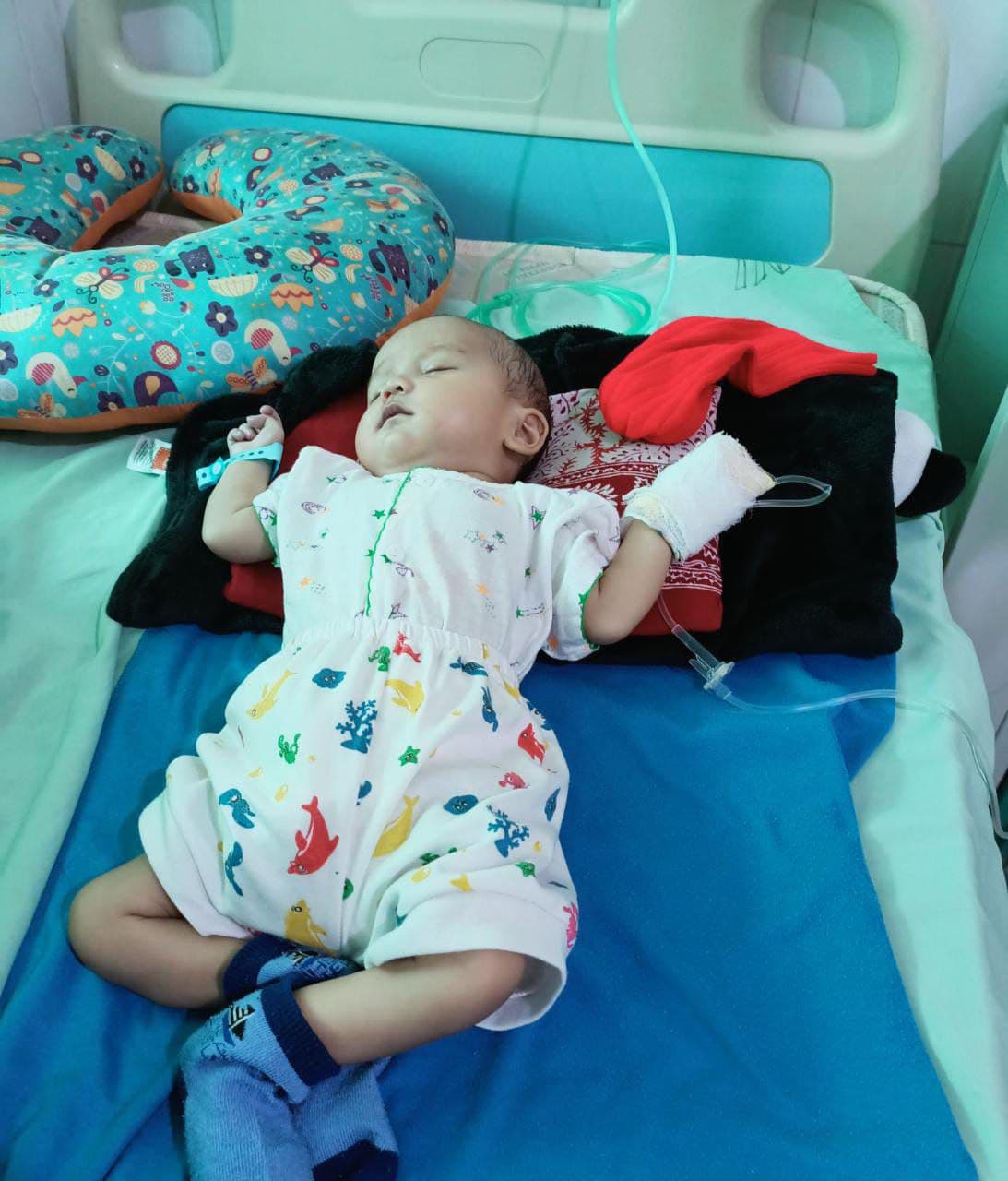 benihbaik_2022-04-25_e8e8ab0a71d7ea3c0988de34544588abb8752cb0_jpeg