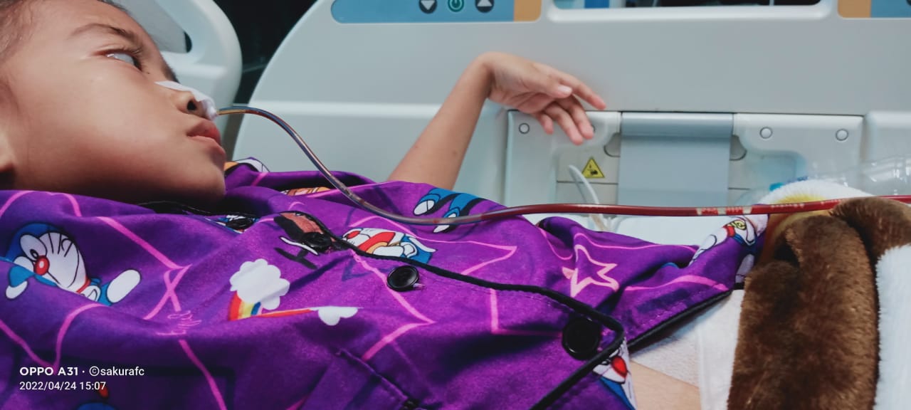 benihbaik_2022-04-26_63d6bbf11b69203708b43391aec6df3bbc43bc6a_jpeg