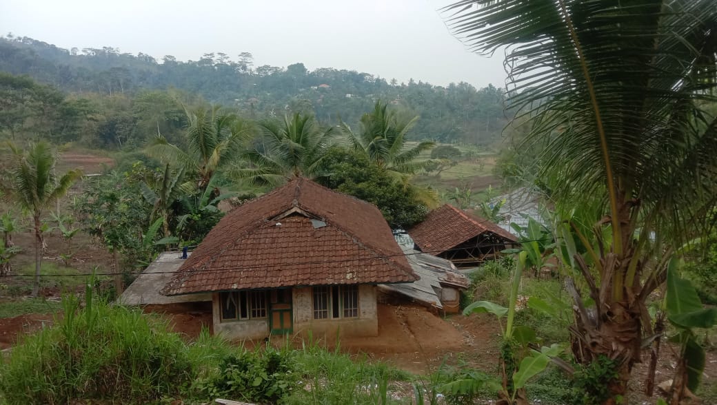 benihbaik_2022-05-13_157a5e12afa52fa6a7c08d1473c4d3494364f53d_jpeg