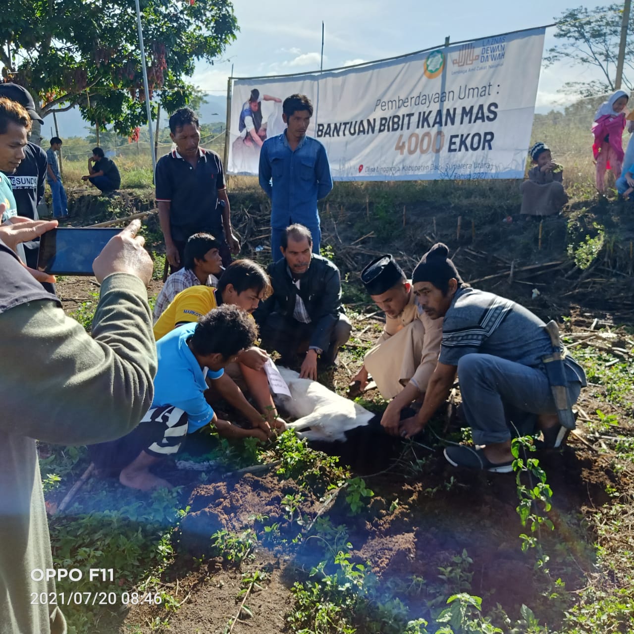 benihbaik_2022-05-24_0b6aab08512c7c0b0fc8ad0fabf6d9fe1917890b_jpeg