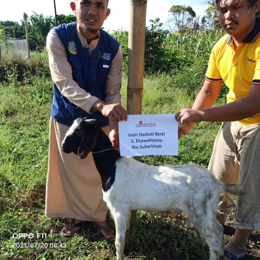 benihbaik_2022-05-24_35e20bcf02675e2e7893f95c94c5b42f9e3ce925_jpeg