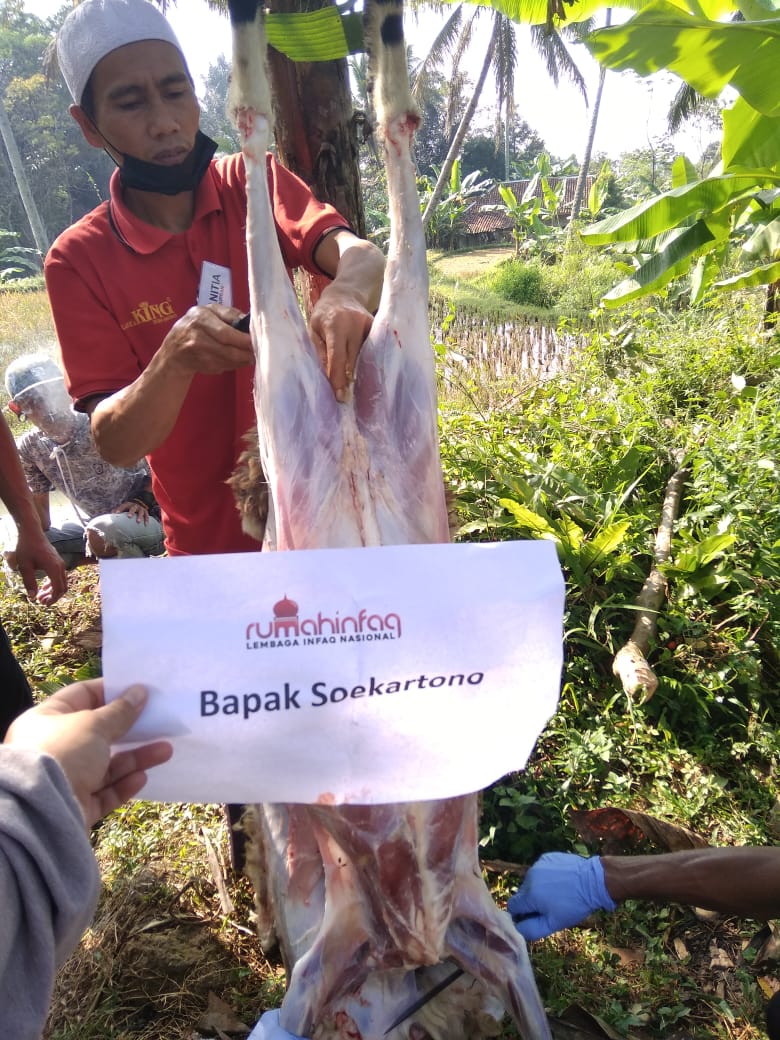 benihbaik_2022-05-24_51a9d7cc17fc18e23c53ae2f18ad939c396f64a1_jpeg