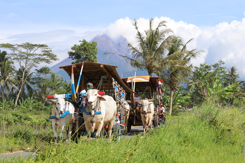 benihbaik_2022-05-24_90ff0e416302234ae6b6630f3d95001f7af957f8_jpeg