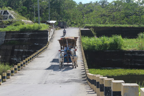 benihbaik_2022-05-24_a3963439ade051b7e3bb75a2578c975f5fa78564_jpeg