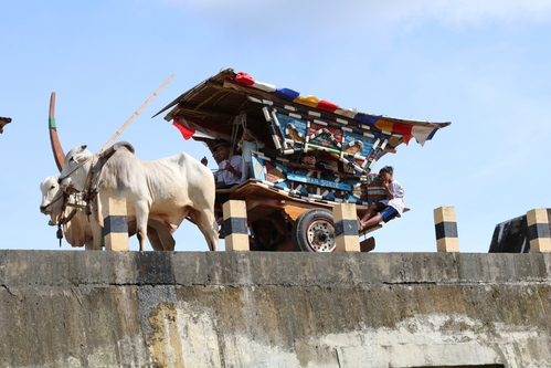 benihbaik_2022-05-24_c423051db462a10d7ccdafba92df1b2f6e8c67c0_jpeg