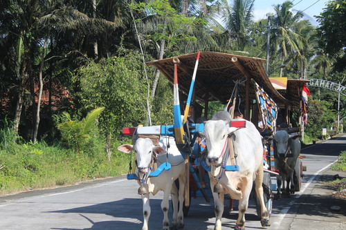 benihbaik_2022-05-24_e68b12eb0dc75ef6538ad11b3a5c0f763b2751af_jpeg