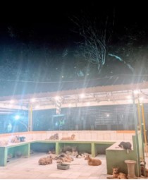 benihbaik_2022-05-25_141090e536c7f4e0571c05b4d0175c3e5b4b2084_jpeg