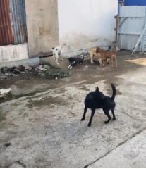 benihbaik_2022-05-25_15ae6b5f5257920222bd3c6b8dfbf0a9929c17b1_jpeg