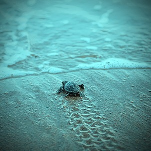 benihbaik_2022-05-25_68b7d1d9349761982e6d419ef6036473d4bc3126_jpeg