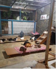 benihbaik_2022-05-25_c7f72313d63cbba077b0ee139e120b673a3153d4_jpeg