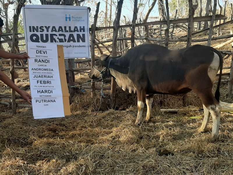 benihbaik_2022-05-30_31a4e534907d0d6c375d6617ee44b838a7a816c5_jpeg