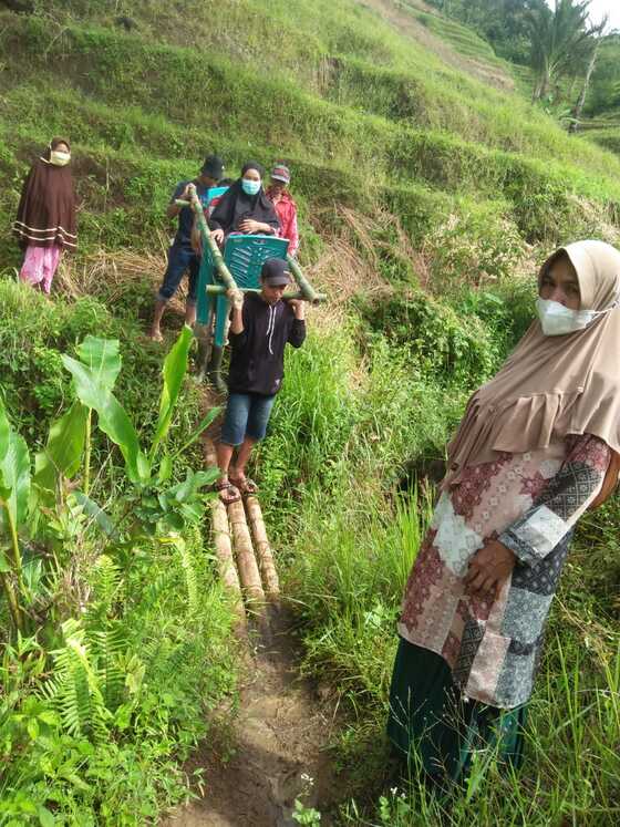 benihbaik_2022-05-30_e667f8aee158be96c9f0f5affcb77bb4e3aca1a9_jpeg