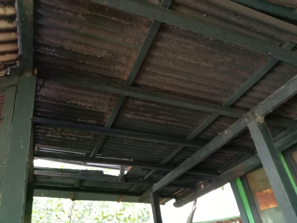 benihbaik_2022-05-31_245a65693ce763e5ebc39a922c756ae7ef786d1e_jpeg