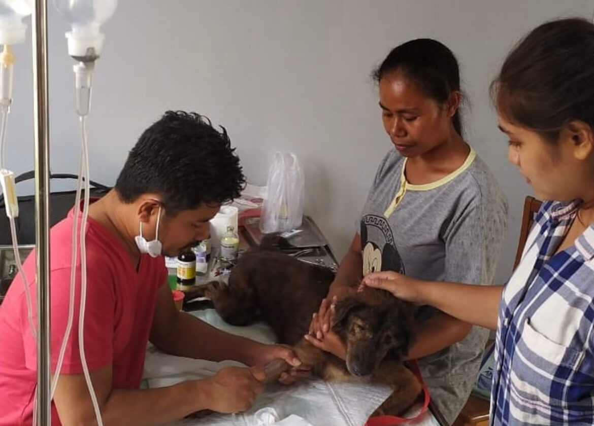 benihbaik_2022-05-31_43216792ec99ea617fbb87abc06bc88931010615_jpeg