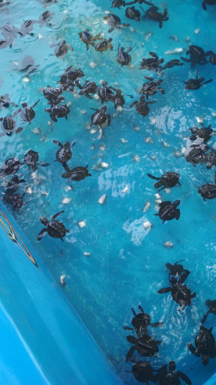 benihbaik_2022-05-31_656d53a4d1e2bf6047032306256c03b2621f0553_jpeg