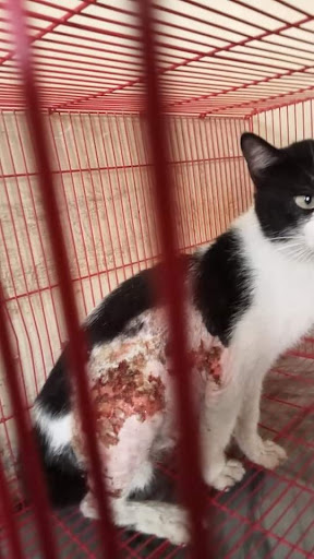 benihbaik_2022-05-31_6dbead95c03b96bd004597607d45175b1cc94a67_jpeg