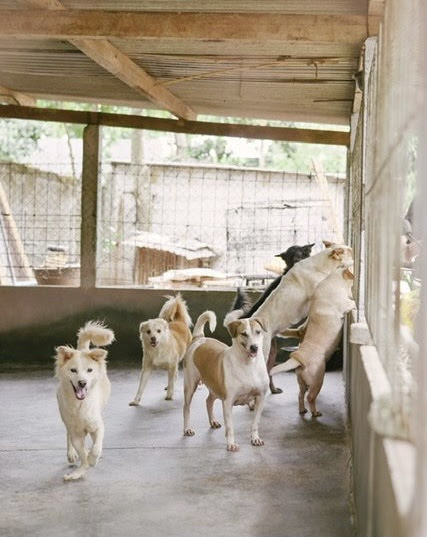 benihbaik_2022-05-31_73ced8f0d4ab3297682eea8e686ace3fa9a980ea_jpeg