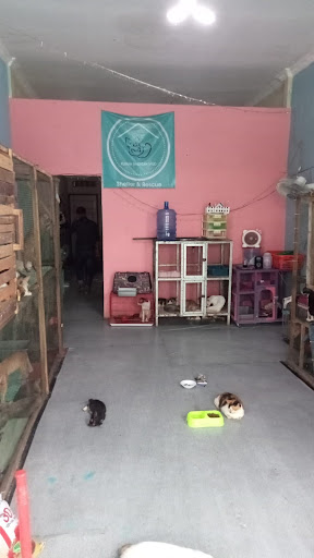 benihbaik_2022-05-31_84c4d0634efc31200968afe6df371cef20d8dbdd_jpeg