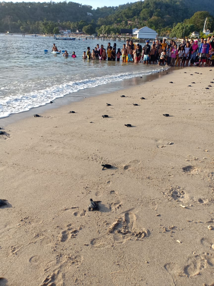 benihbaik_2022-05-31_873c977986269c1cd5d7634d653089a93ce36430_jpeg